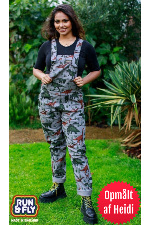 Dungarees Grey Adventure Dinosaur