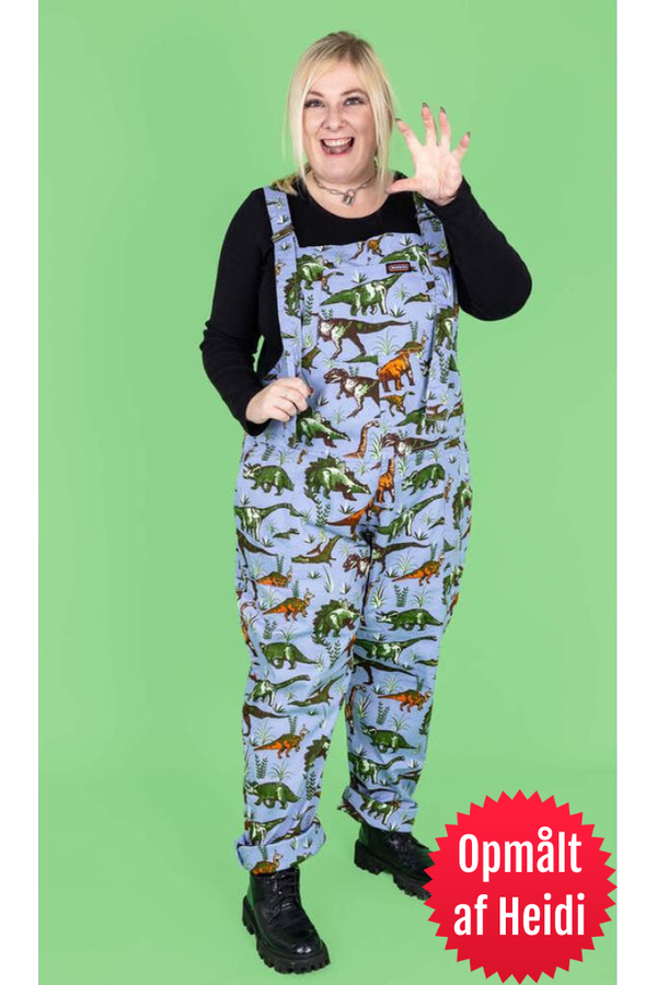 Dungarees Blue Adventure Dinosaur