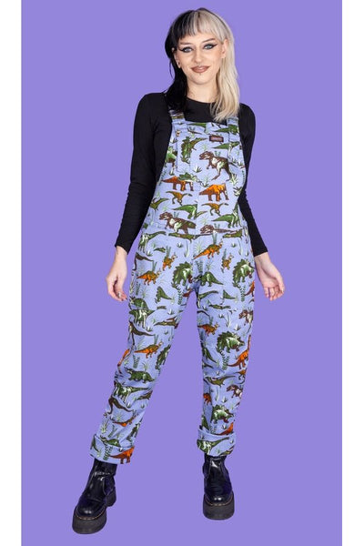 Dungarees Blue Adventure Dinosaur