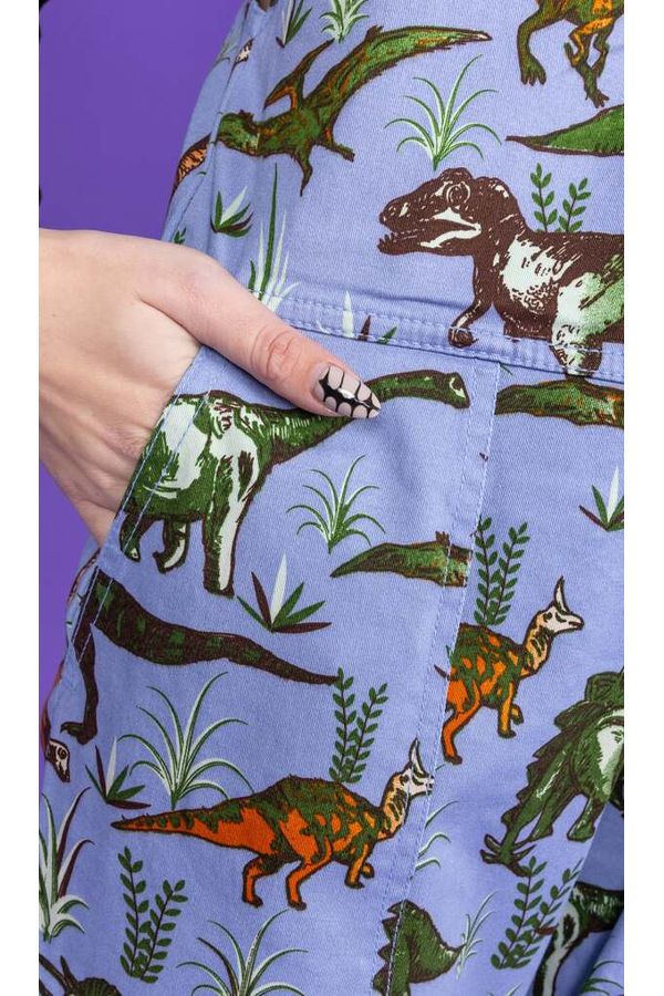 Dungarees Blue Adventure Dinosaur