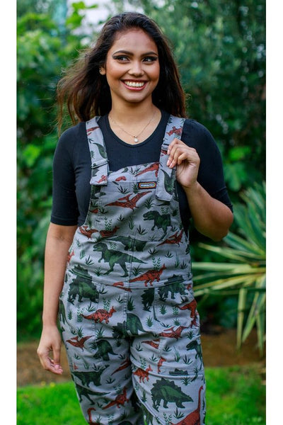 Dungarees Grey Adventure Dinosaur