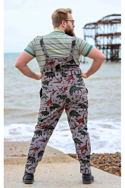 Dungarees Grey Adventure Dinosaur