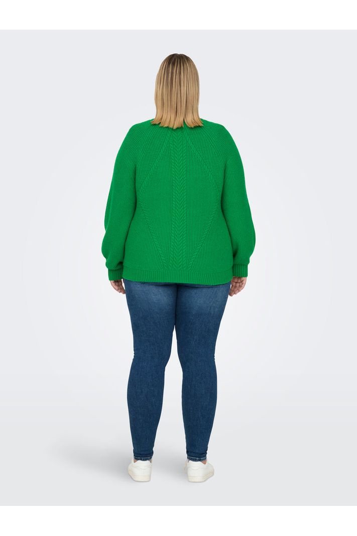 CARKATIA Pullover Grøn