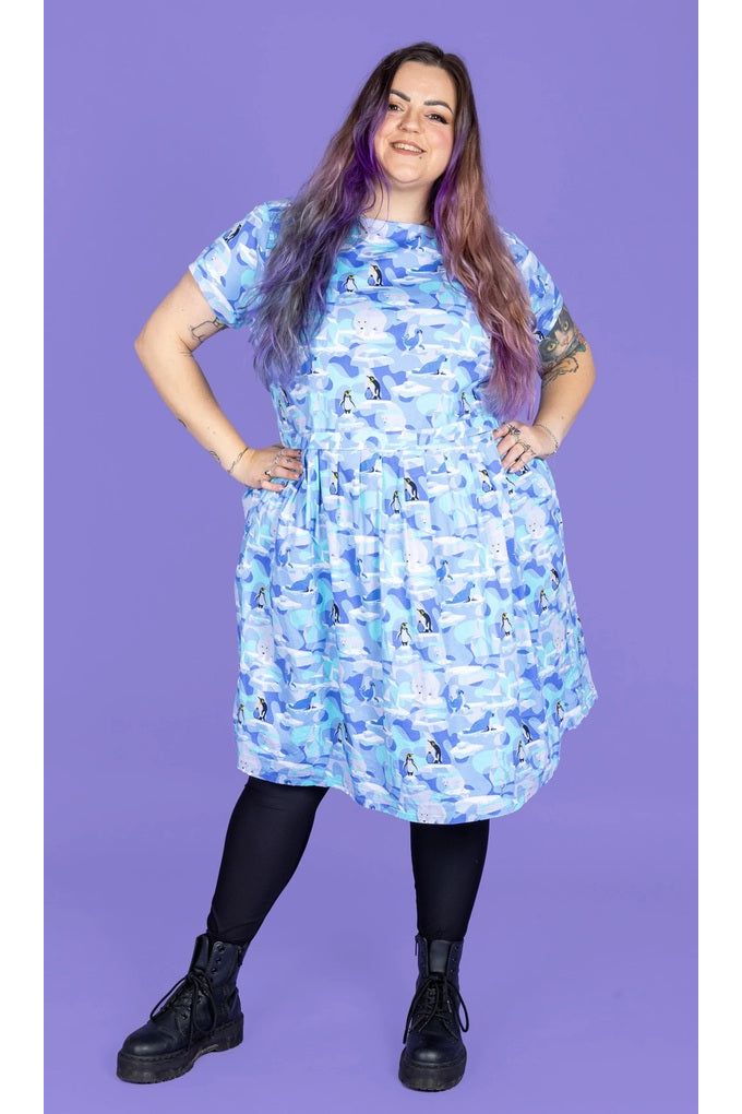 Winter Friends Tea Dress